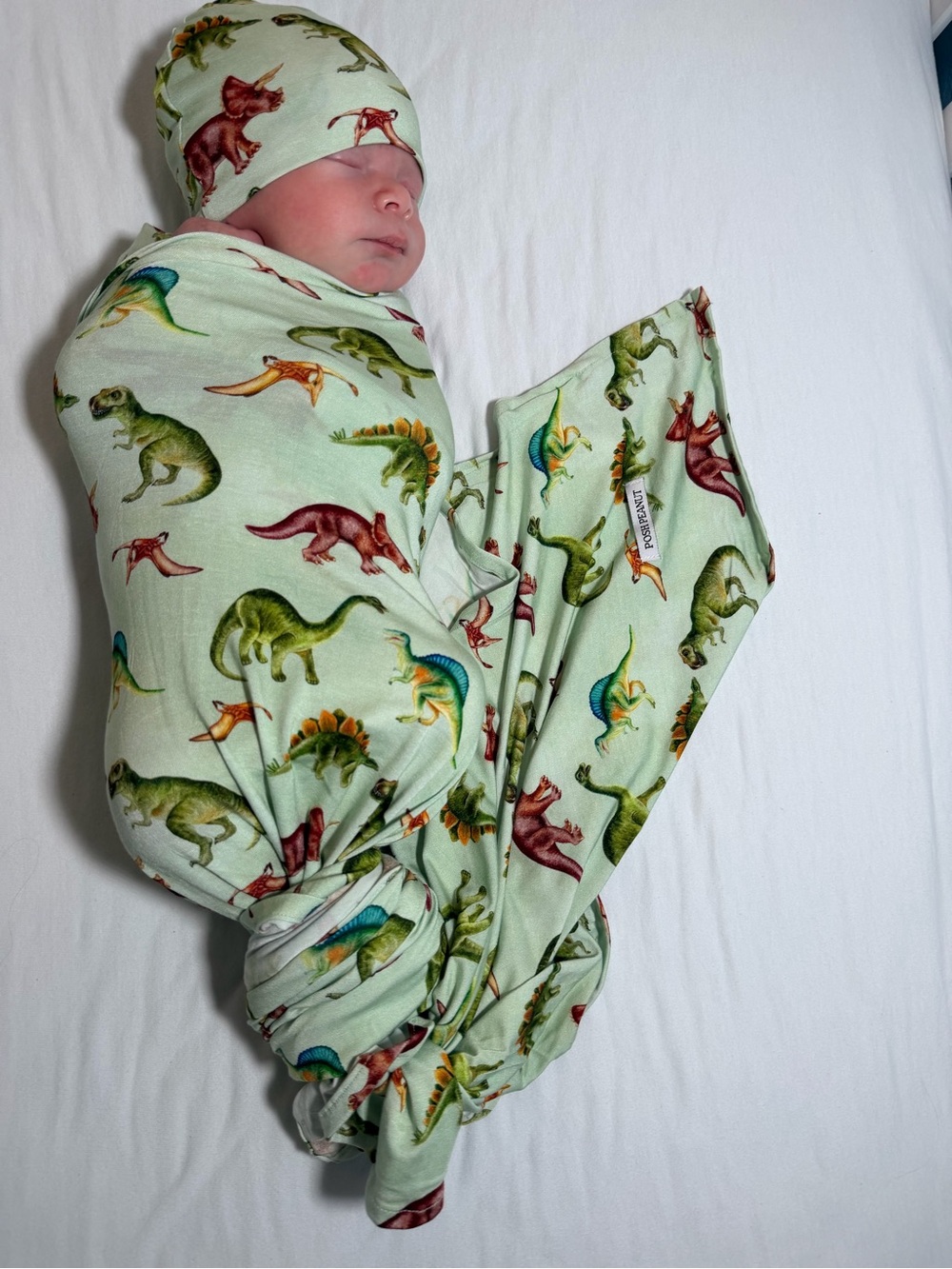POSH PEANUT SWADDLE BEANIE SET BUDDY DINOSAUR MINT